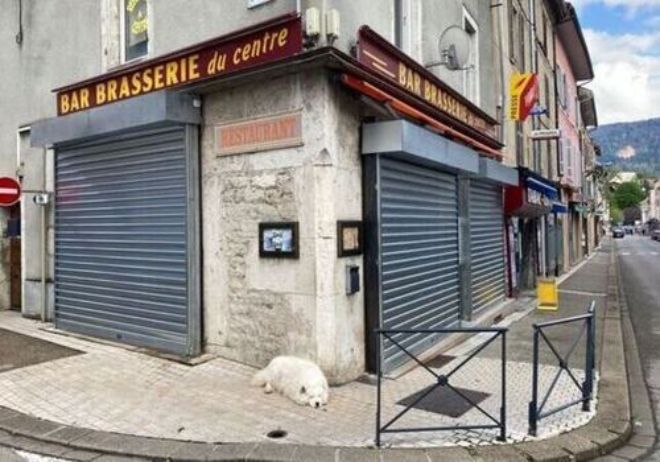 Installation de rideaux métalliques​ à Champs sur Marne